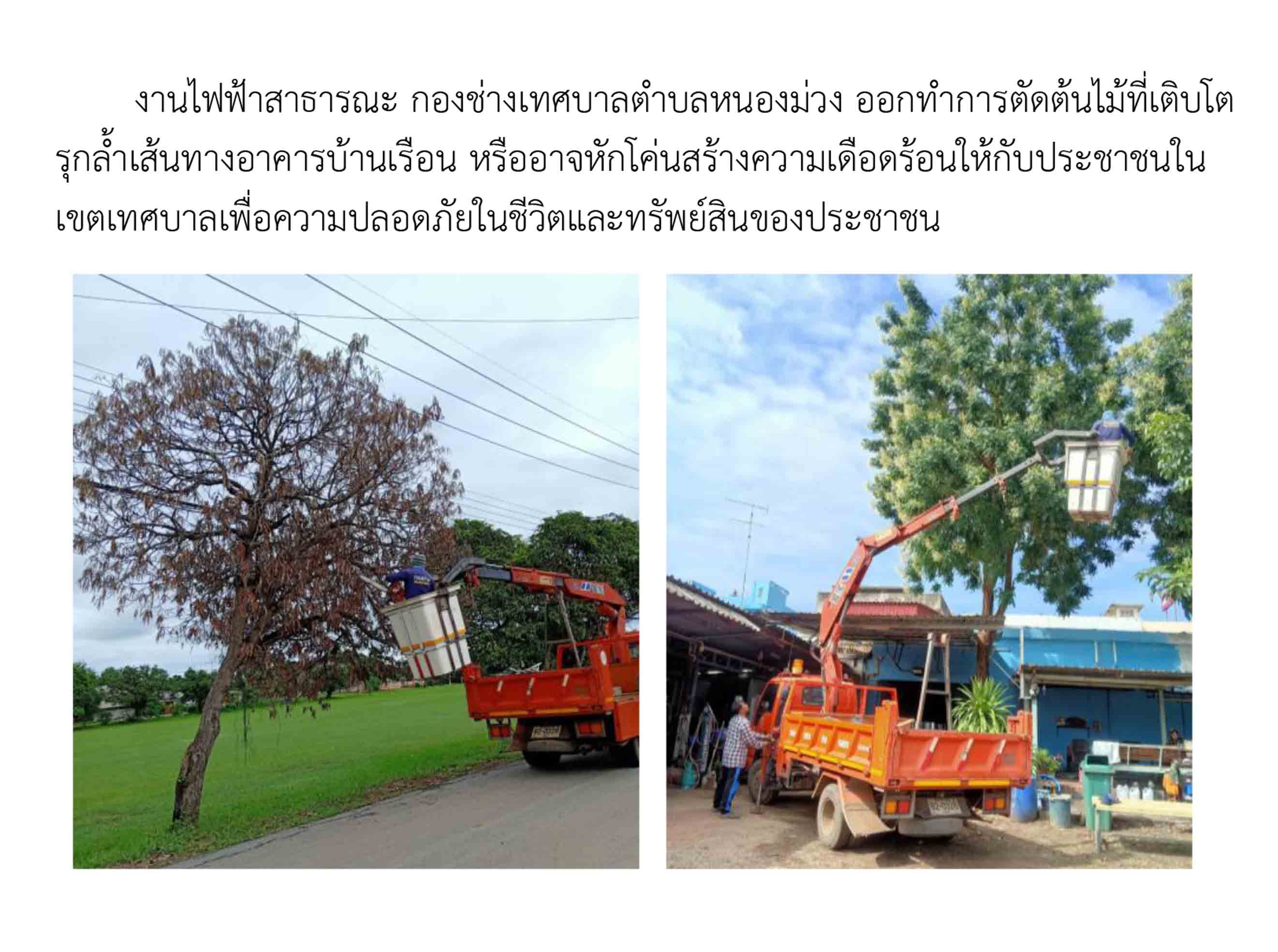 งานไฟฟ้าสาธารณะ กองช่างเทศบาลฯ ออกปฏิบัติงานตัดต้นไม้
