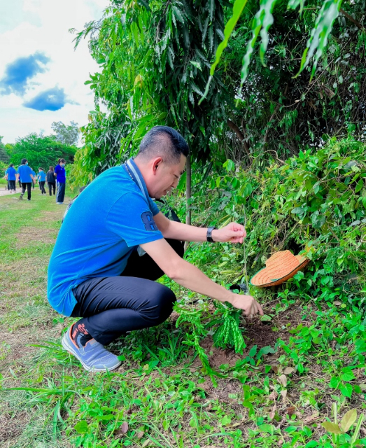 โครงการอนุรักษ์พันธุกรรมพืชอันเนื่องมาจากพระราชดำริ