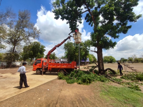 กองช่างเทศบาลตำบลหนองม่วง ดำเนินการตัดต้นไม้ที่ล้มโค่นทับสายไฟฟ้า