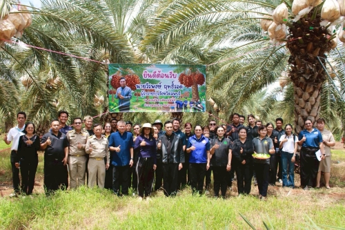 การท่องเที่ยวเชิงเกษตรอำเภอหนองม่วง ณ สวนอินทผลัมแม่นันท์ ตำบลหนองม่วง อำเภอหนองม่วง จังหวัดลพบุรี